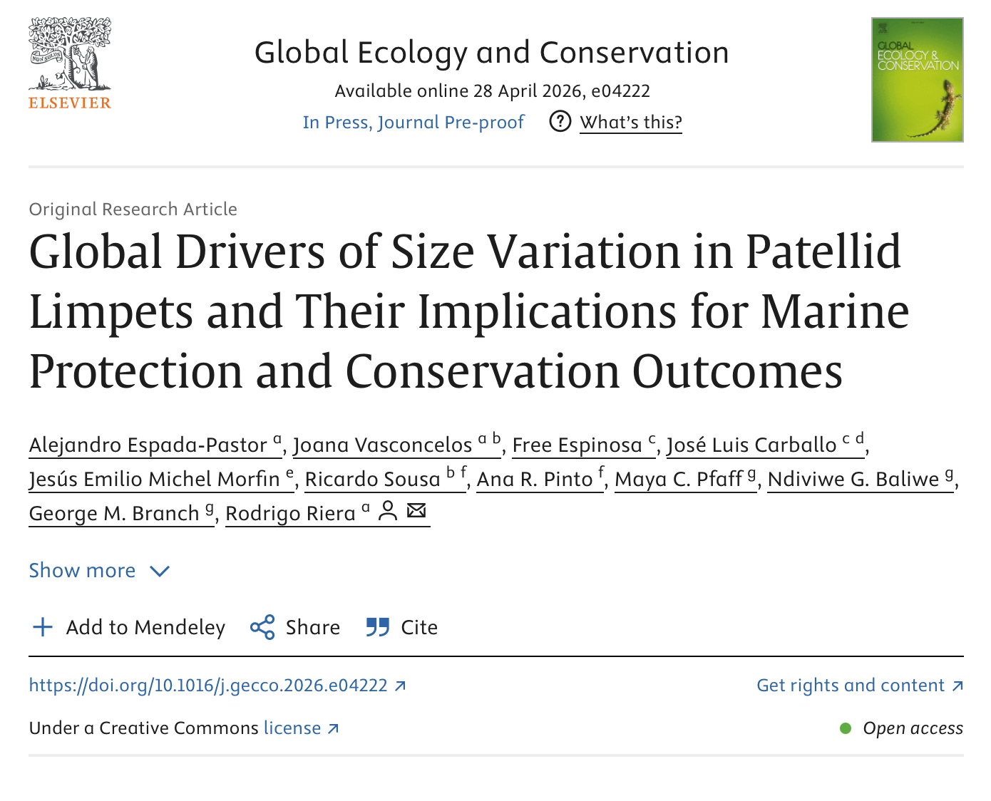 New paper on global drivers of size variation in patellid limpets
