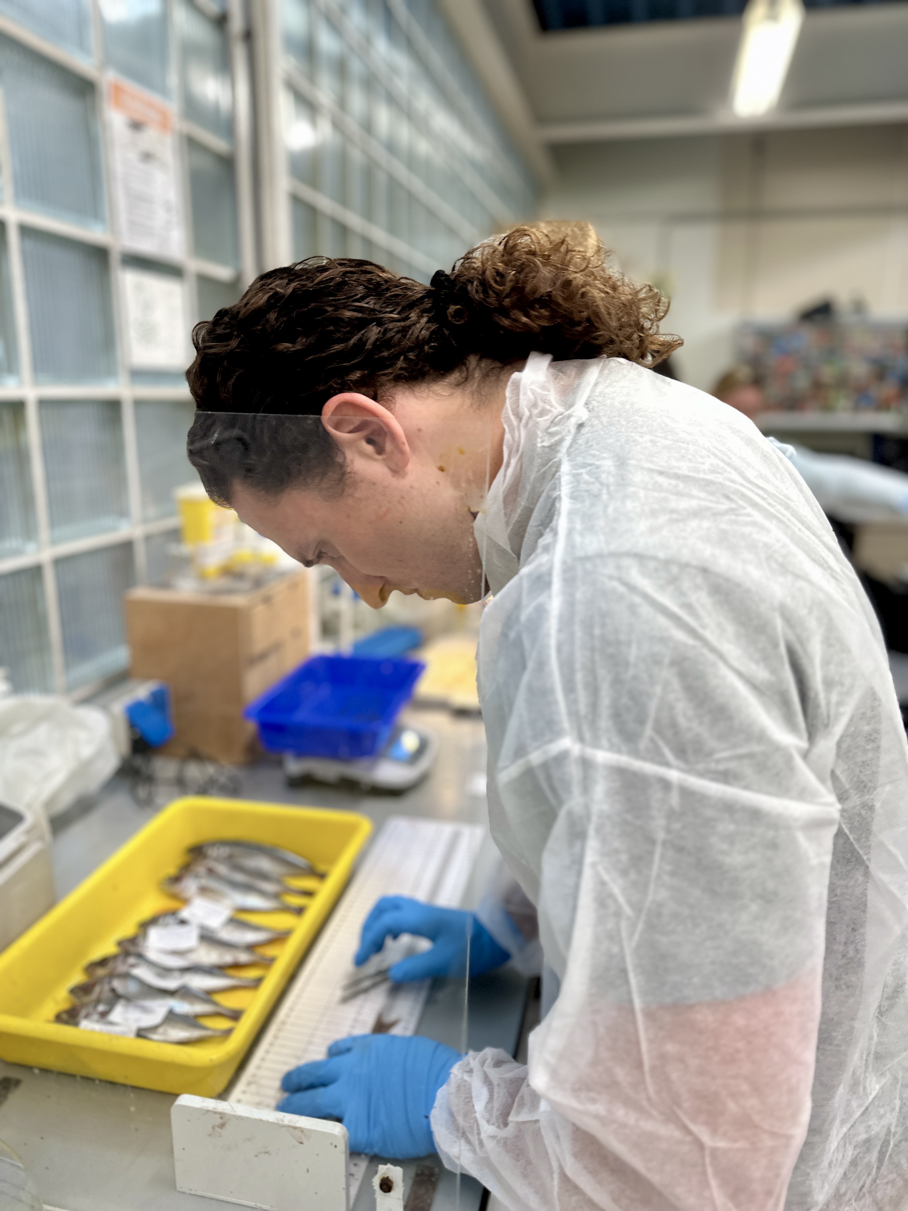 Hands-on laboratory sampling activity with Erasmus Mundus students