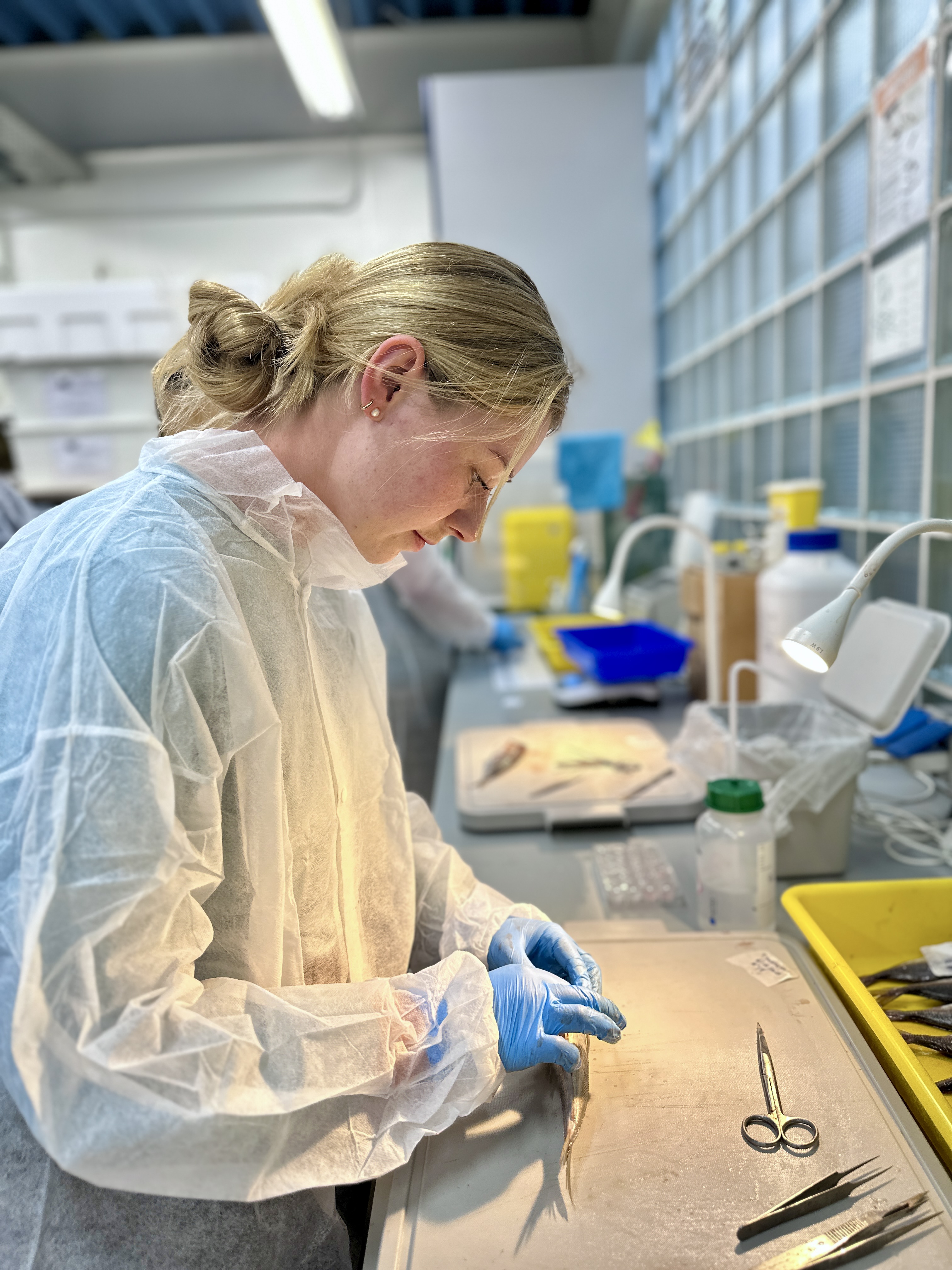 Collaborative fisheries science laboratory activity